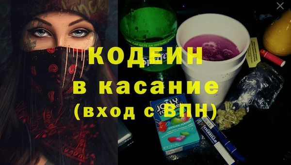 мет Алексин
