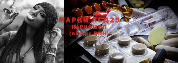 мет Алексин