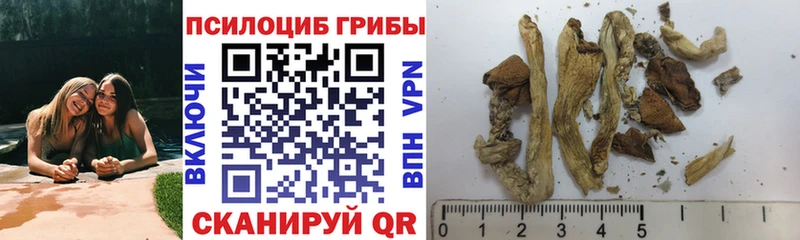 Псилоцибиновые грибы ЛСД  Андреаполь 