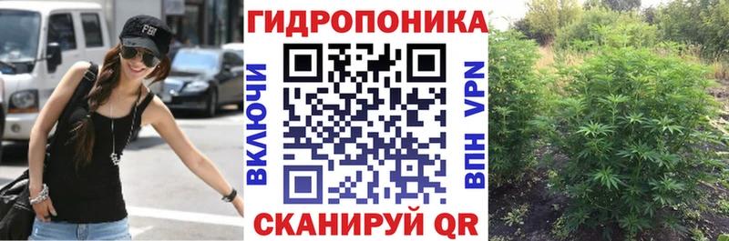 Канабис семена Андреаполь