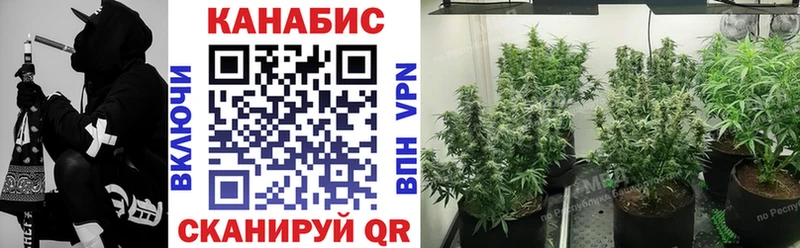 Канабис сатива  Андреаполь 